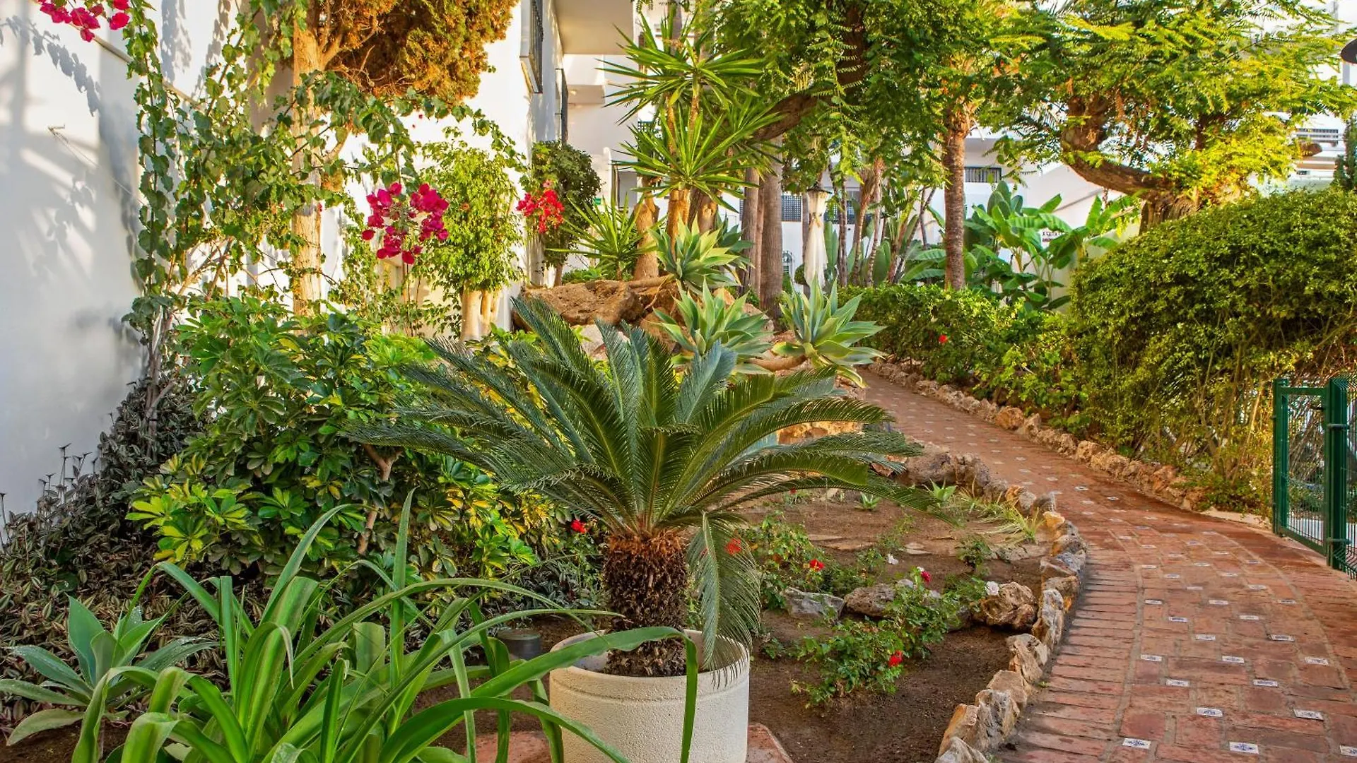 Royal Oasis Club At Pueblo Quinta Aparthotel Benalmadena